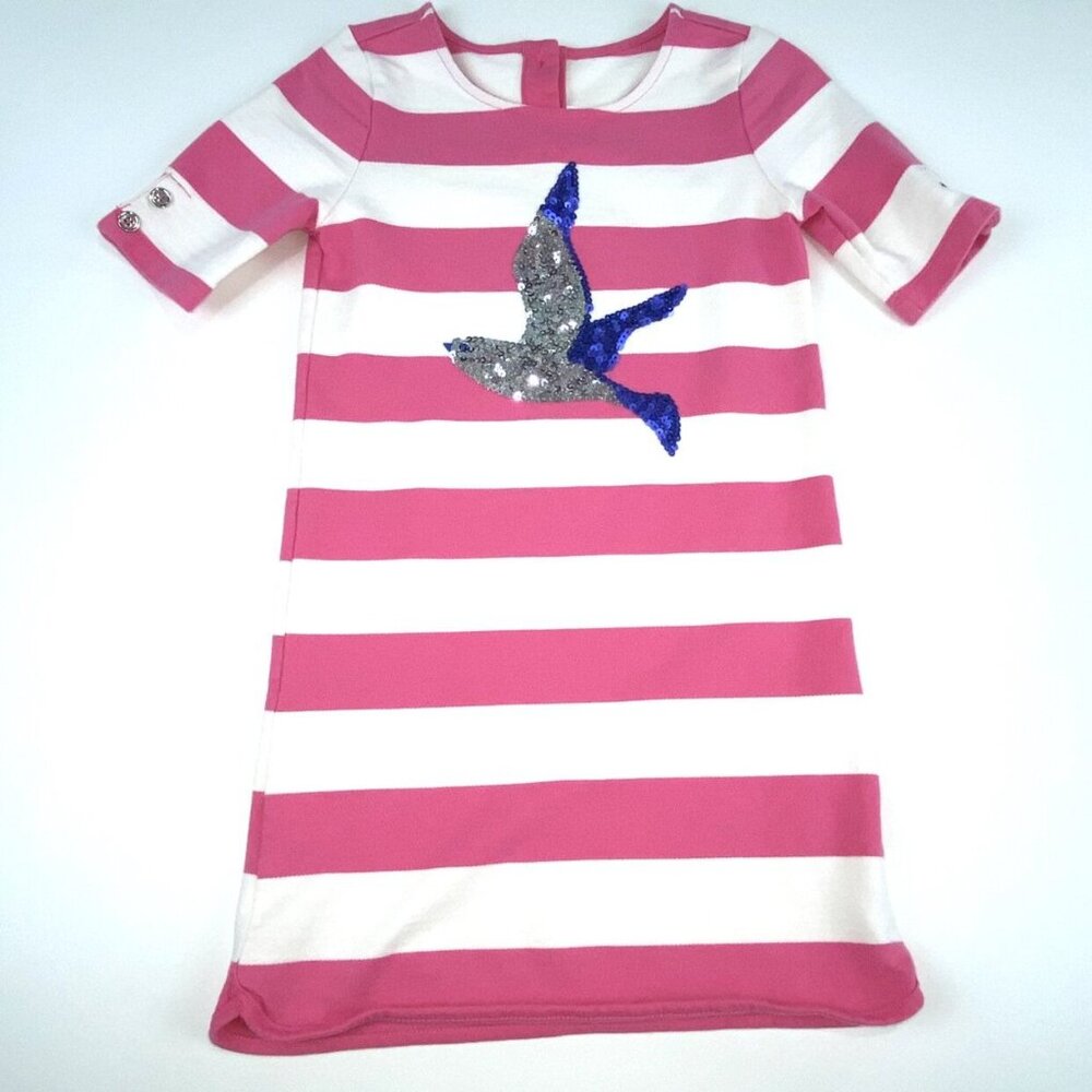 Gymboree Sweatshirt Dress